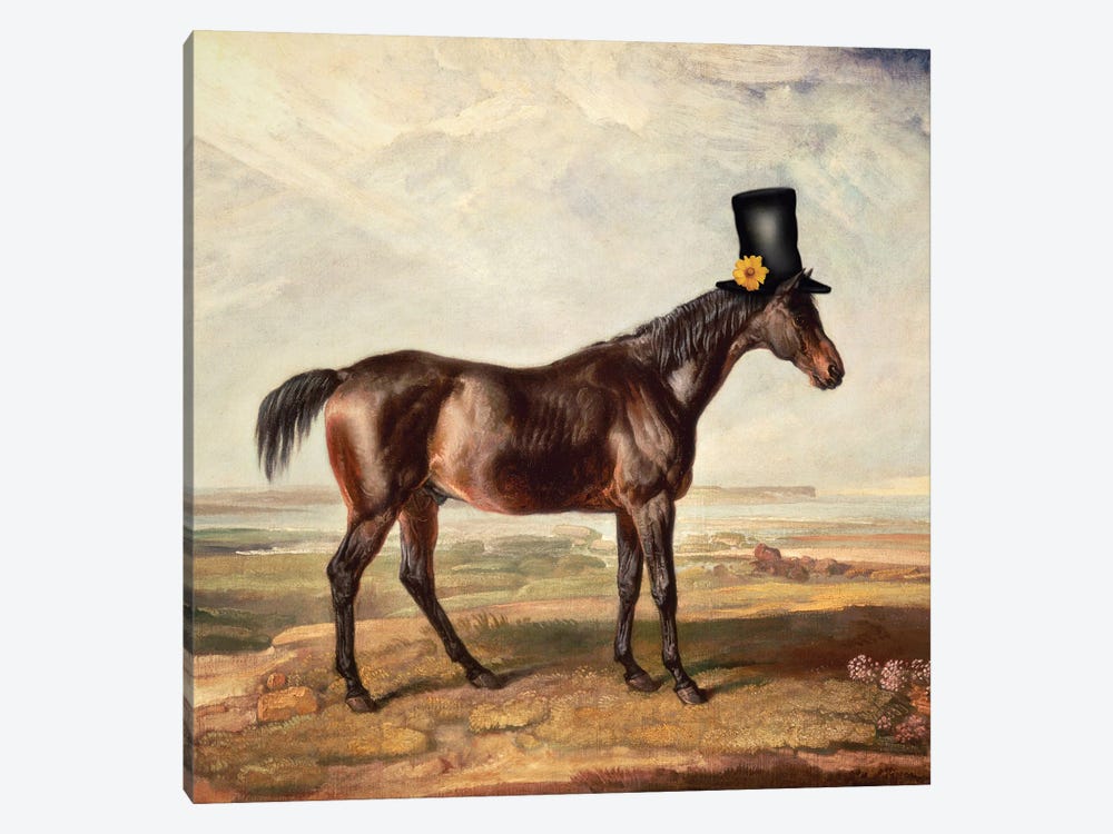 Top Hat Horse by Ark & Ghosts 1-piece Canvas Wall Art