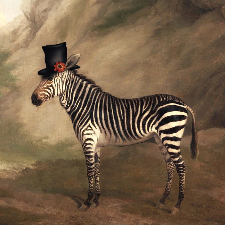 Top Hat Zebra by Ark & Ghosts wall art