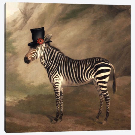 Top Hat Zebra Canvas Print #AGH16} by Ark & Ghosts Canvas Artwork