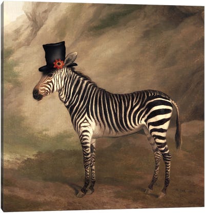 Top Hat Zebra Canvas Art Print - Ark & Ghosts
