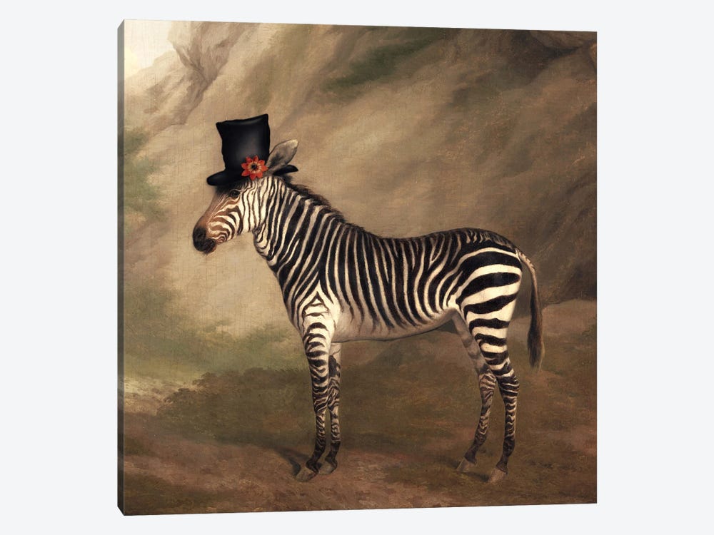 Top Hat Zebra by Ark & Ghosts 1-piece Canvas Art