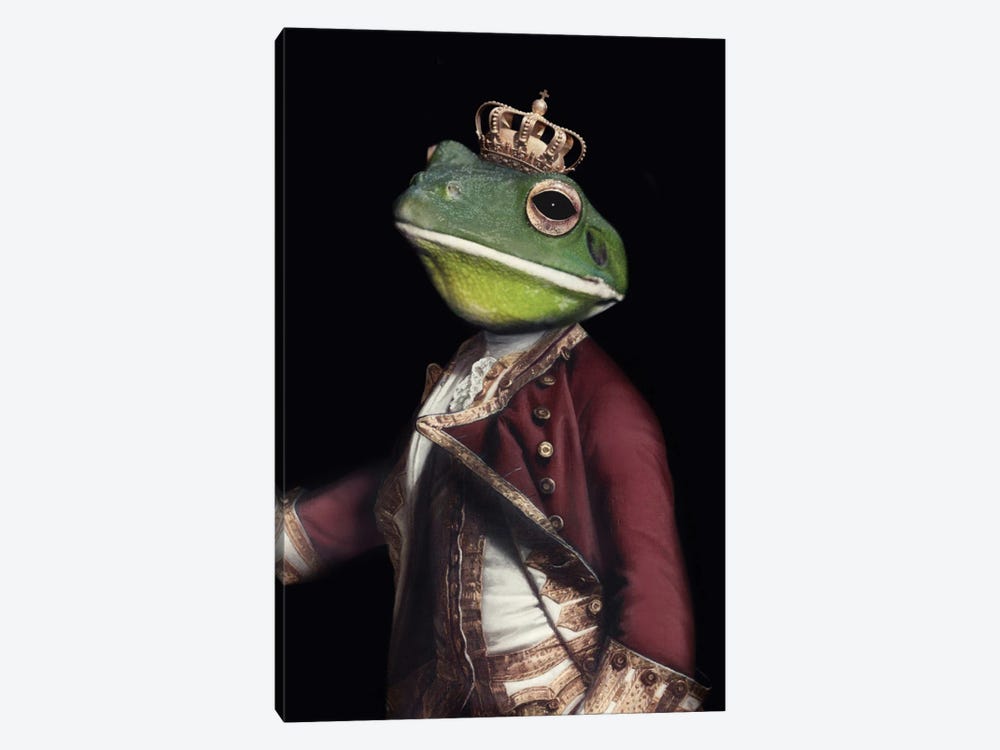 The Frog Prince by Ark & Ghosts 1-piece Canvas Art Print
