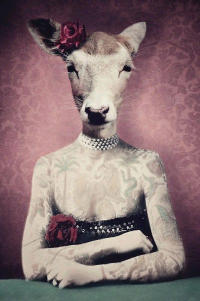 Inked Dolly by Ark & Ghosts canvas print