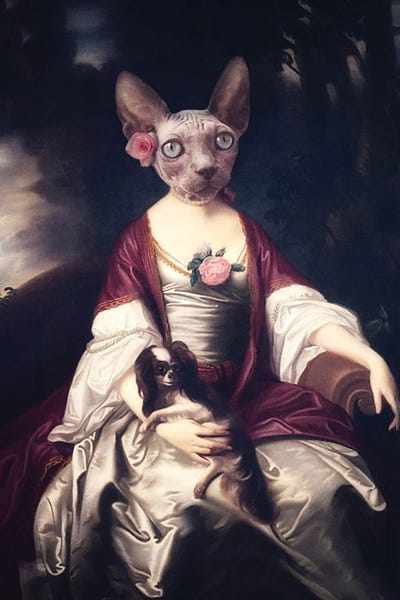 Hairless Cats: Peggy And Smith by Ark & Ghosts