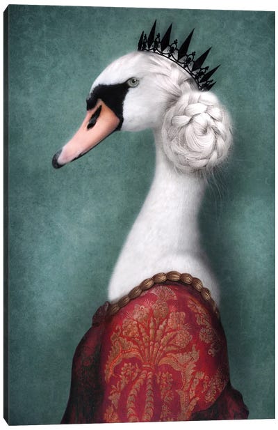 Lady Grace Canvas Art Print - Swan Art