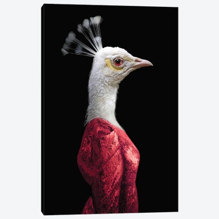 Gwen (Red) Canvas Print #AGH45} by Ark & Ghosts Canvas Print