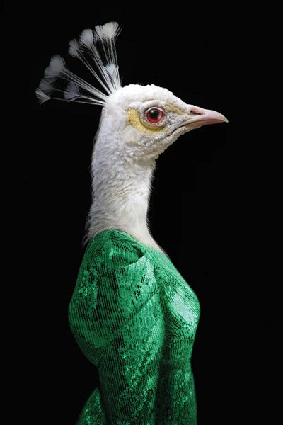 Peacocks: Gwen (Green) by Ark & Ghosts