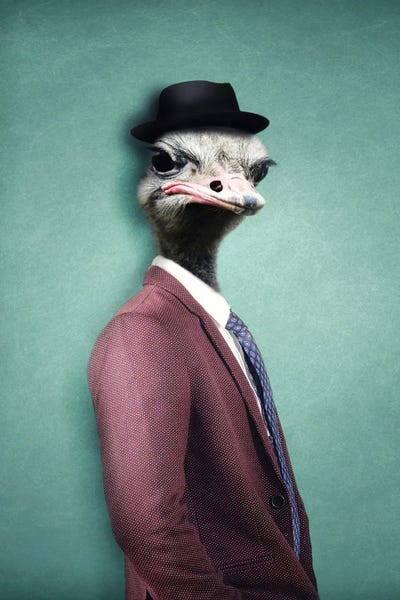 Ostriches: Ozzy by Ark & Ghosts