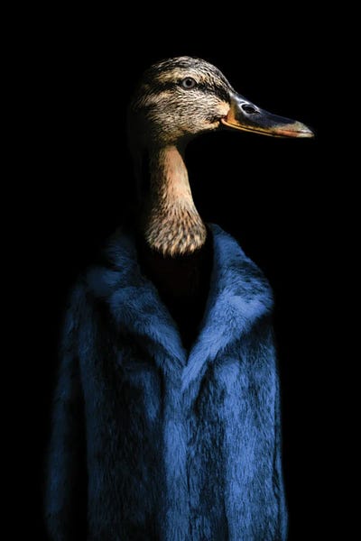 Ducks: Daphne (Blue) by Ark & Ghosts