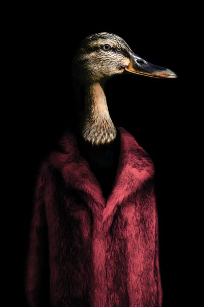 Ark & Ghosts: Daphne (Red) by Ark & Ghosts