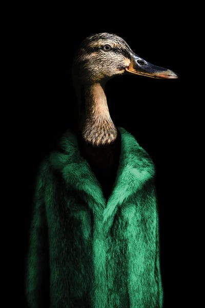 Daphne (Green) by Ark & Ghosts canvas print