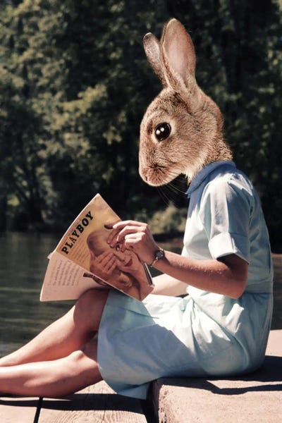 Bonnie by Ark & Ghosts metal wall art