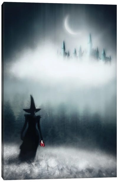 The Fall Of Dorothy Canvas Art Print - Witch Art