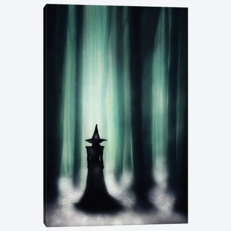 Emerald Forest Canvas Print #AGH60} by Ark & Ghosts Canvas Artwork