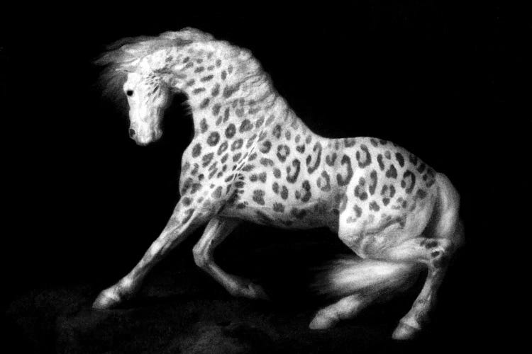 Leopard Horse by Ark & Ghosts wall art