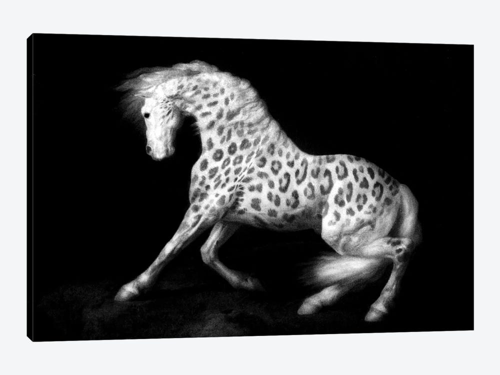 Leopard Horse by Ark & Ghosts 1-piece Canvas Artwork