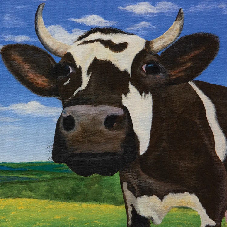 Curious Cow Of Prairie Act III