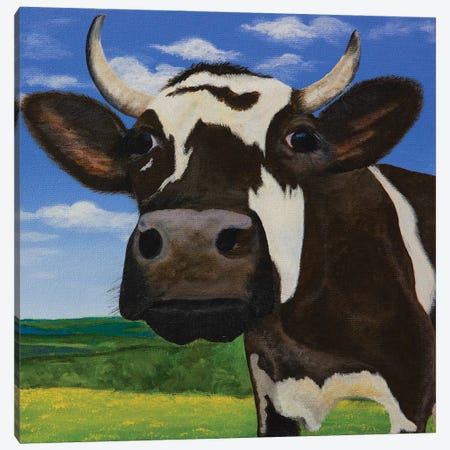 Curious Cow Of Prairie Act III Canvas Print #AGK34} by Amogh Katyayan Canvas Print