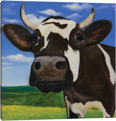 Curious Cow Of Prairie Act III Canvas Art Print - Amogh Katyayan