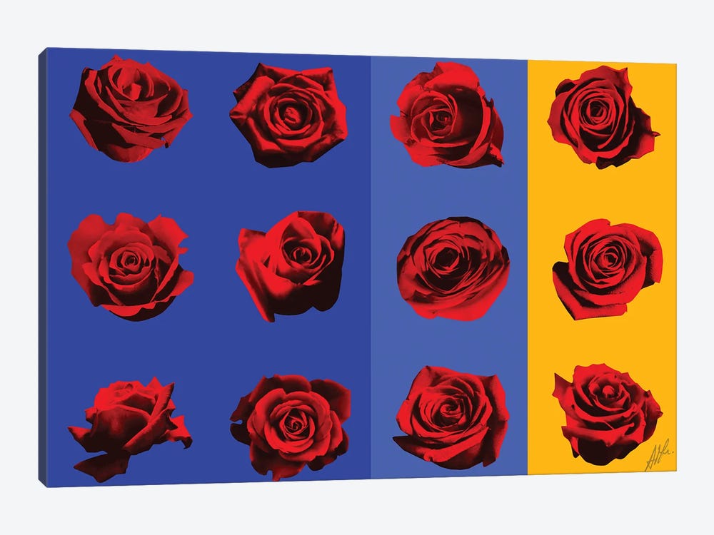 Roses I by Alain Magallon 1-piece Canvas Art Print