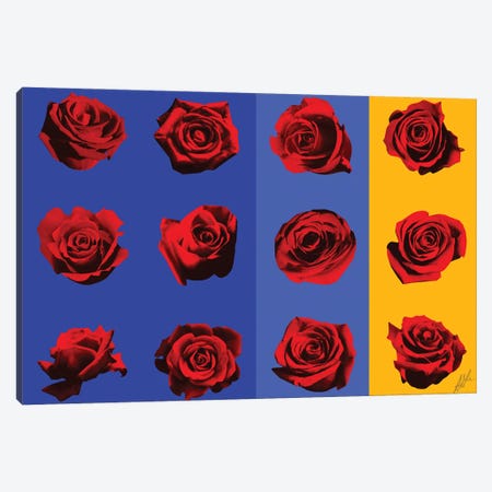 Roses I Canvas Print #AGL135} by Alain Magallon Canvas Art Print