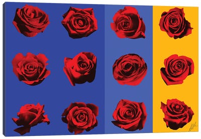 Roses I Canvas Art Print - Alain Magallon