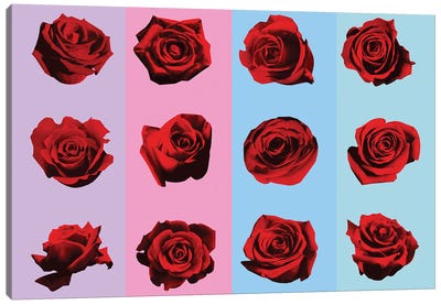 Roses II Canvas Art Print - Preppy Pop Art