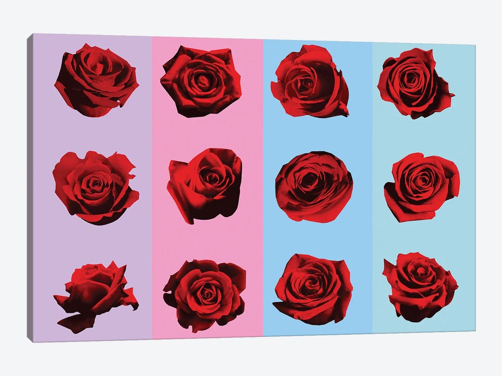 Roses II by Alain Magallon 1-piece Canvas Art