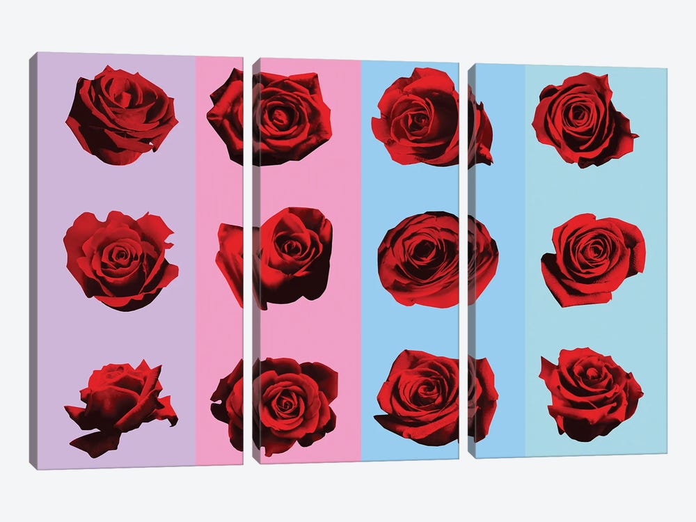Roses II by Alain Magallon 3-piece Canvas Wall Art