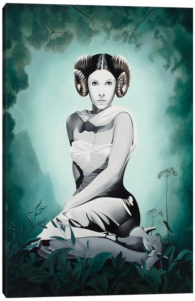 The Lost Princess Canvas Art Print - Princess Leia