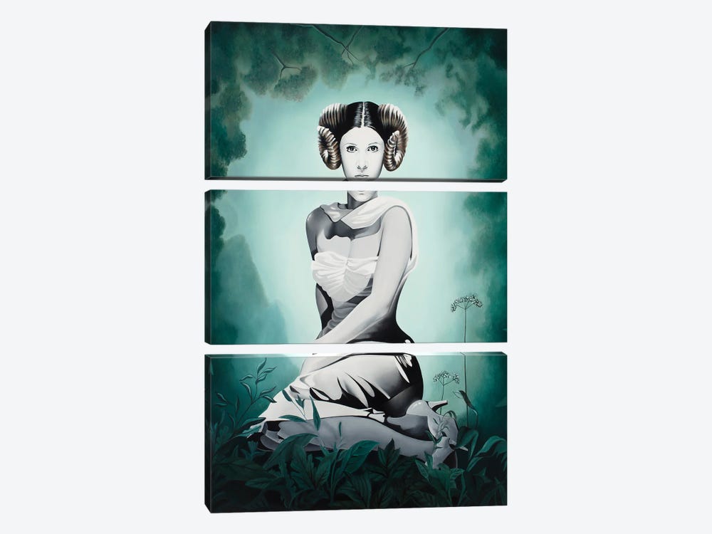 The Lost Princess by Alain Magallon 3-piece Art Print