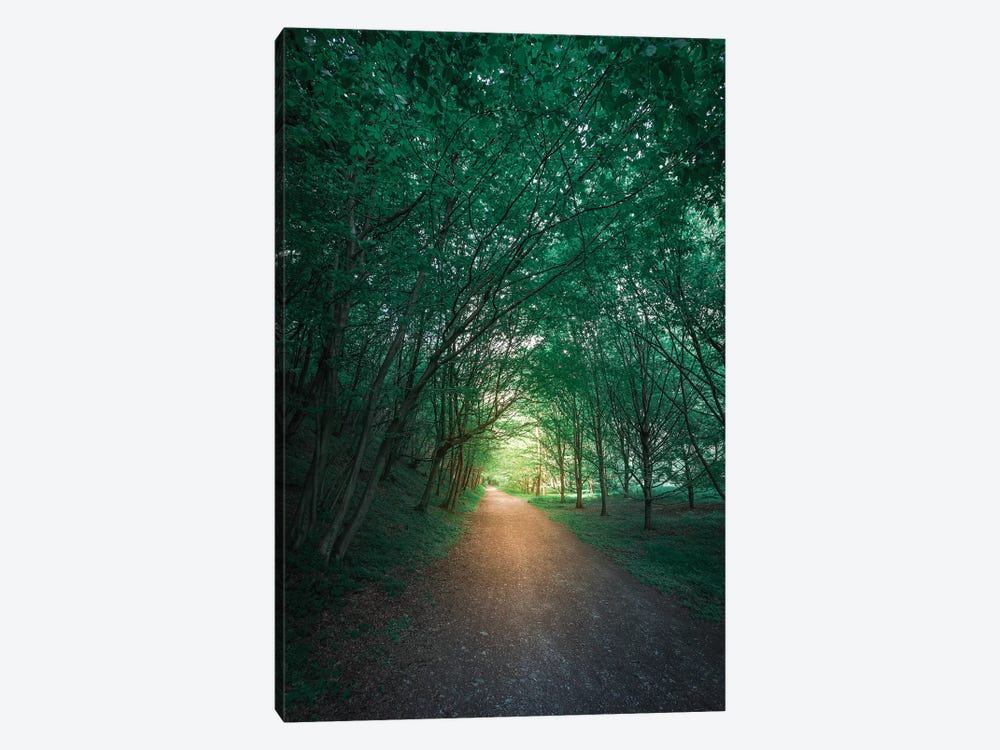 Calming Nature II by Andrea Dall'Agnola 1-piece Canvas Wall Art