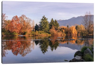Autumn Reflections Canvas Art Print - Maple Tree Art