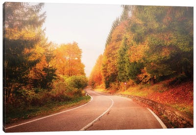 Autumn Road Canvas Art Print - Maple Tree Art