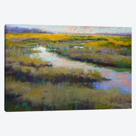 A Glimmer On The Marsh Canvas Print #AGO1} by Alejandra Gos Canvas Art