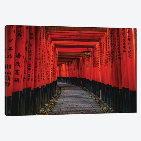 Japan Fushimi Shrine Gates Canvas Print #AGP102} by Alex G Perez Canvas Art