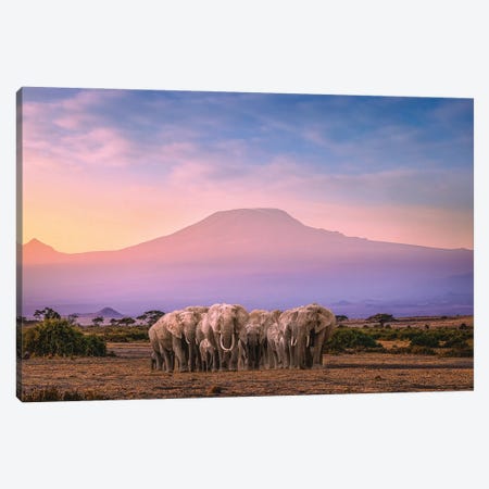 Africa Elephant Herd With Mt Kilimanjaro Canvas Print #AGP11} by Alex G Perez Art Print