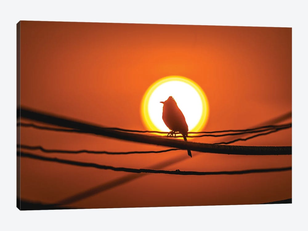 Nepal Bird In Sunset Portrait by Alex G Perez 1-piece Canvas Art