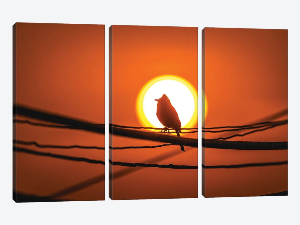 Nepal Bird In Sunset Portrait by Alex G Perez 3-piece Canvas Art
