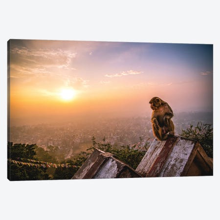 Nepal Temple Sunset Monkey Portrait Canvas Print #AGP136} by Alex G Perez Canvas Artwork