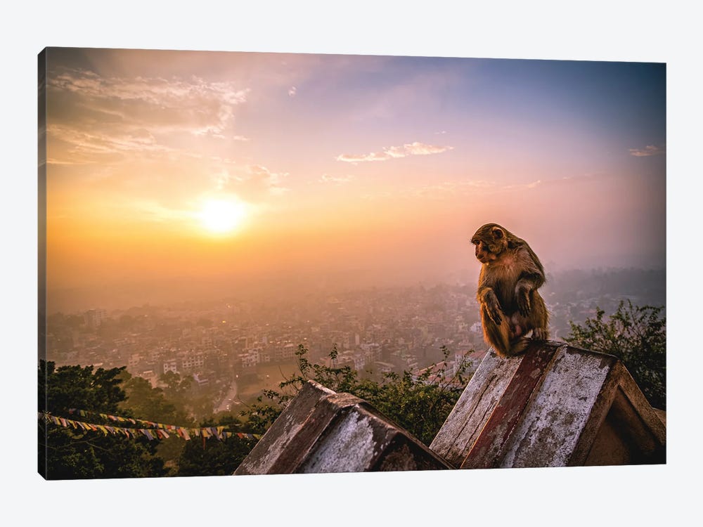 Nepal Temple Sunset Monkey Portrait by Alex G Perez 1-piece Canvas Print