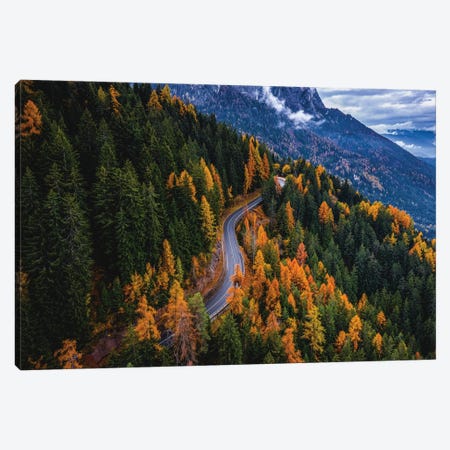 Italy Dolomites Fall Color Road In Trees II Canvas Print #AGP176} by Alex G Perez Canvas Artwork
