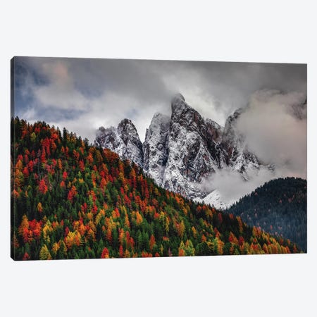 Italy Dolomites Mountain Fall Color I Canvas Print #AGP177} by Alex G Perez Canvas Wall Art