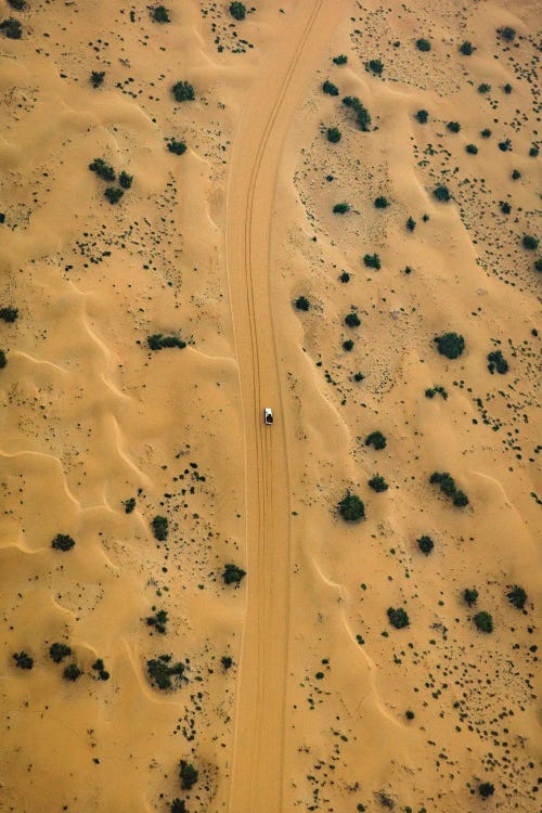 Dubai Desert Road by Alex G Perez wall art