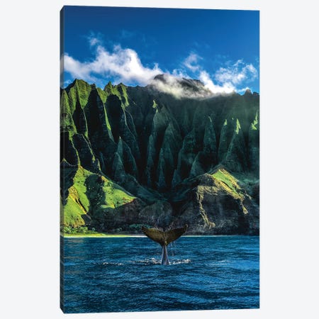 Hawaii Nā Pali Coast Whale Tail Canvas Print #AGP297} by Alex G Perez Canvas Print