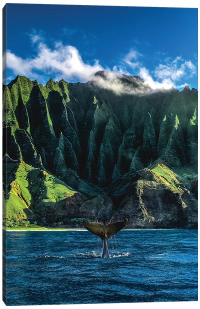 Hawaii Nā Pali Coast Whale Tail Canvas Art Print - Mountains Scenic Photography