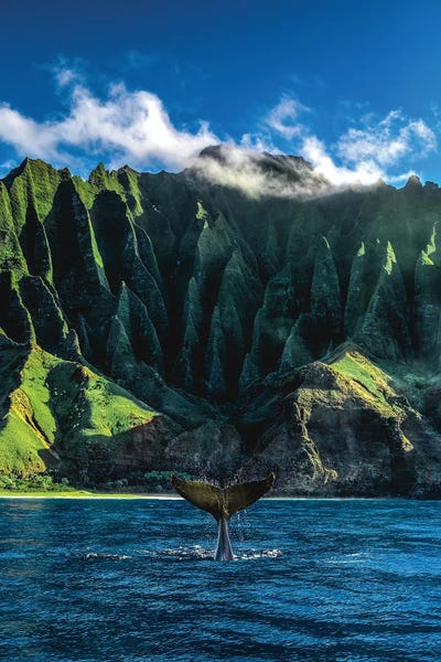 Hawaii: Hawaii Nā Pali Coast Whale Tail by Alex G Perez