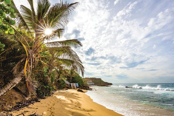 Alex G Perez: Puerto Rico Beach Seaside by Alex G Perez