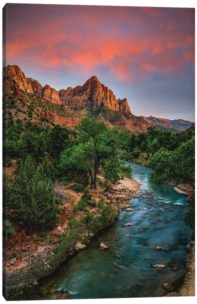 Utah Zion National Park Hike Sunset V Canvas Art Print - River, Creek & Stream Art