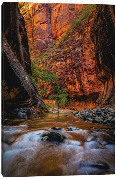 Utah Zion National Park The Narrows Hike I Canvas Art Print - Mountains Scenic Photography